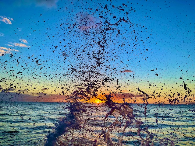 A person splashing in the water at sunset.