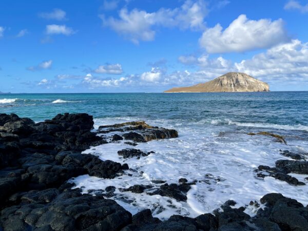 A body of water with rocks and waves in the foreground.