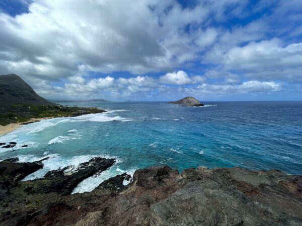 A view of the ocean from an overlook.