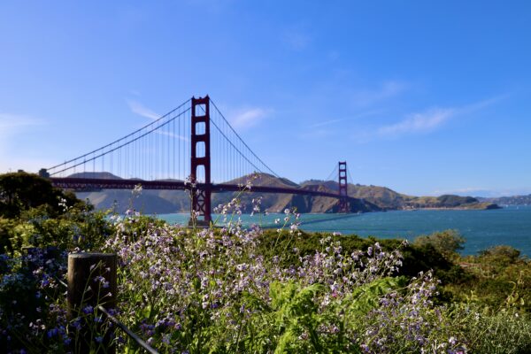 A view of the golden gate bridge from across the bay.